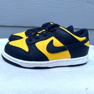 Nike Dunk Low Michigan (2021) (TD KIDS 9C